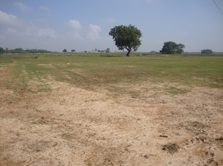 3)Plots for Sale Nearer to Tirupati IIT College.JPG